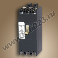 АЕ-2056М 100А